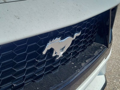 2026 Ford Mustang GT Fastback