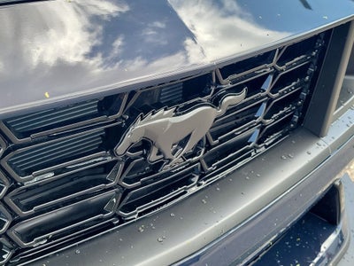 2026 Ford Mustang Dark Horse