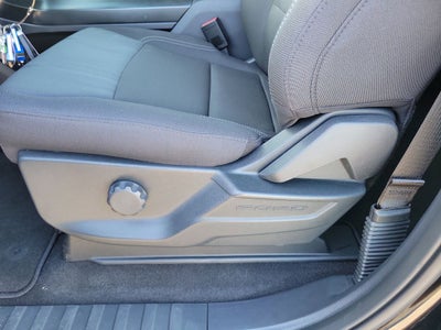 2026 Ford F-150 STX LOBO