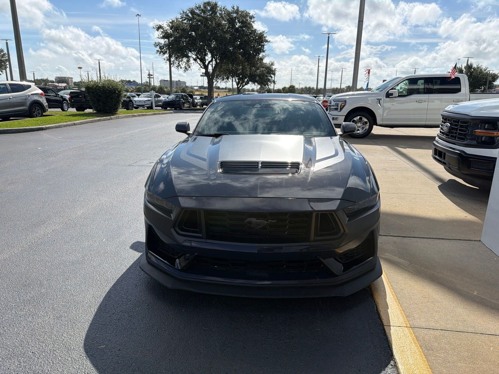 2024 Ford Mustang Dark Horse