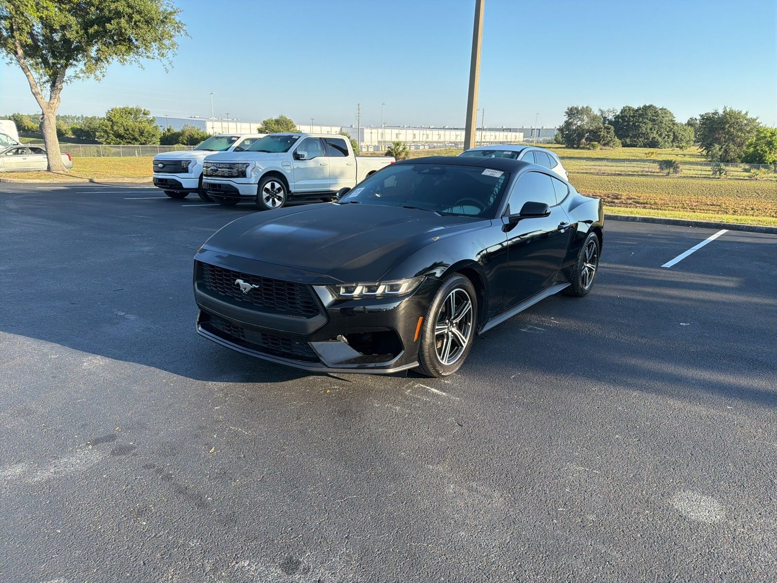 2024 Ford Mustang EcoBoost