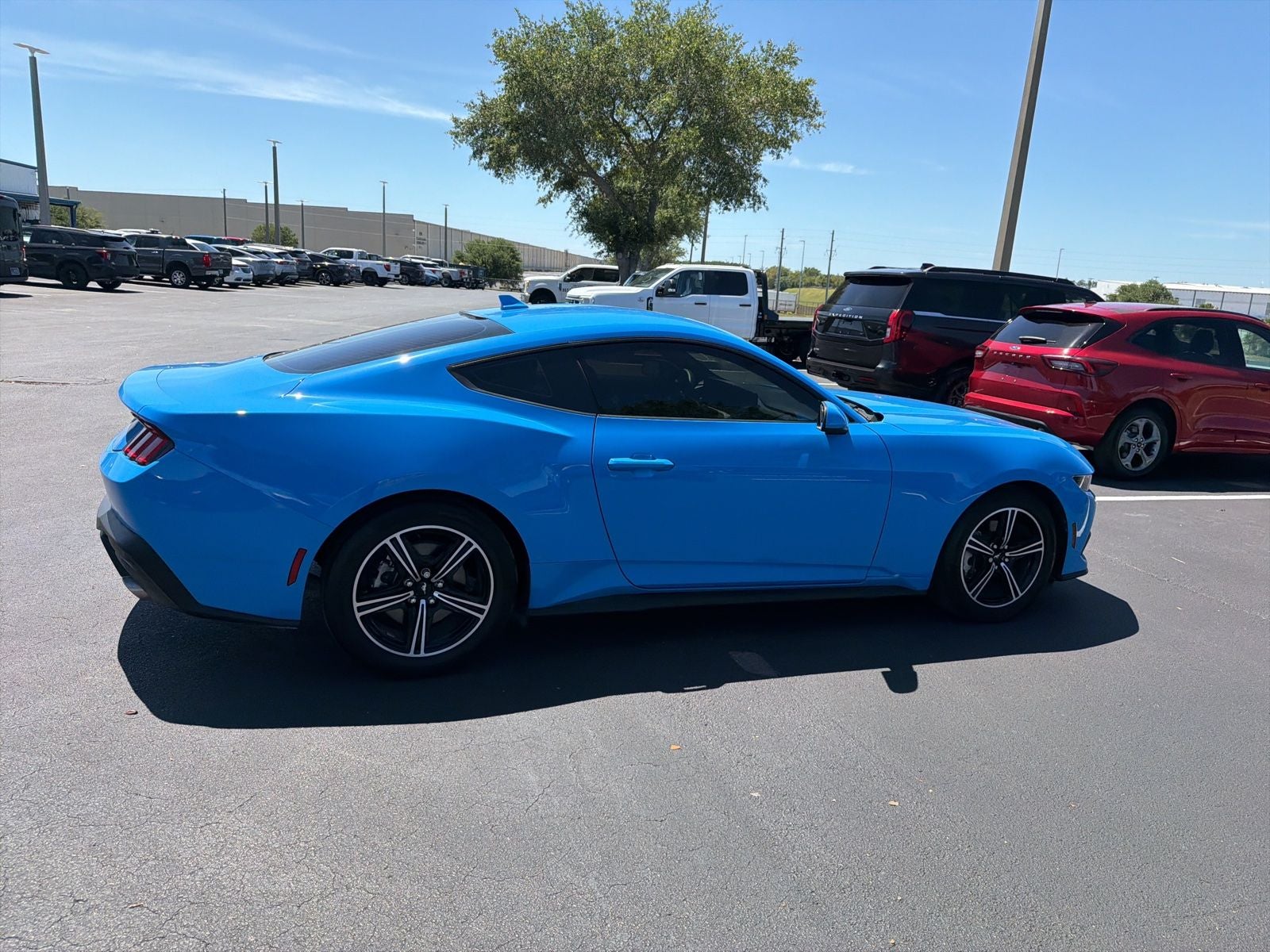 2025 Ford Mustang EcoBoost