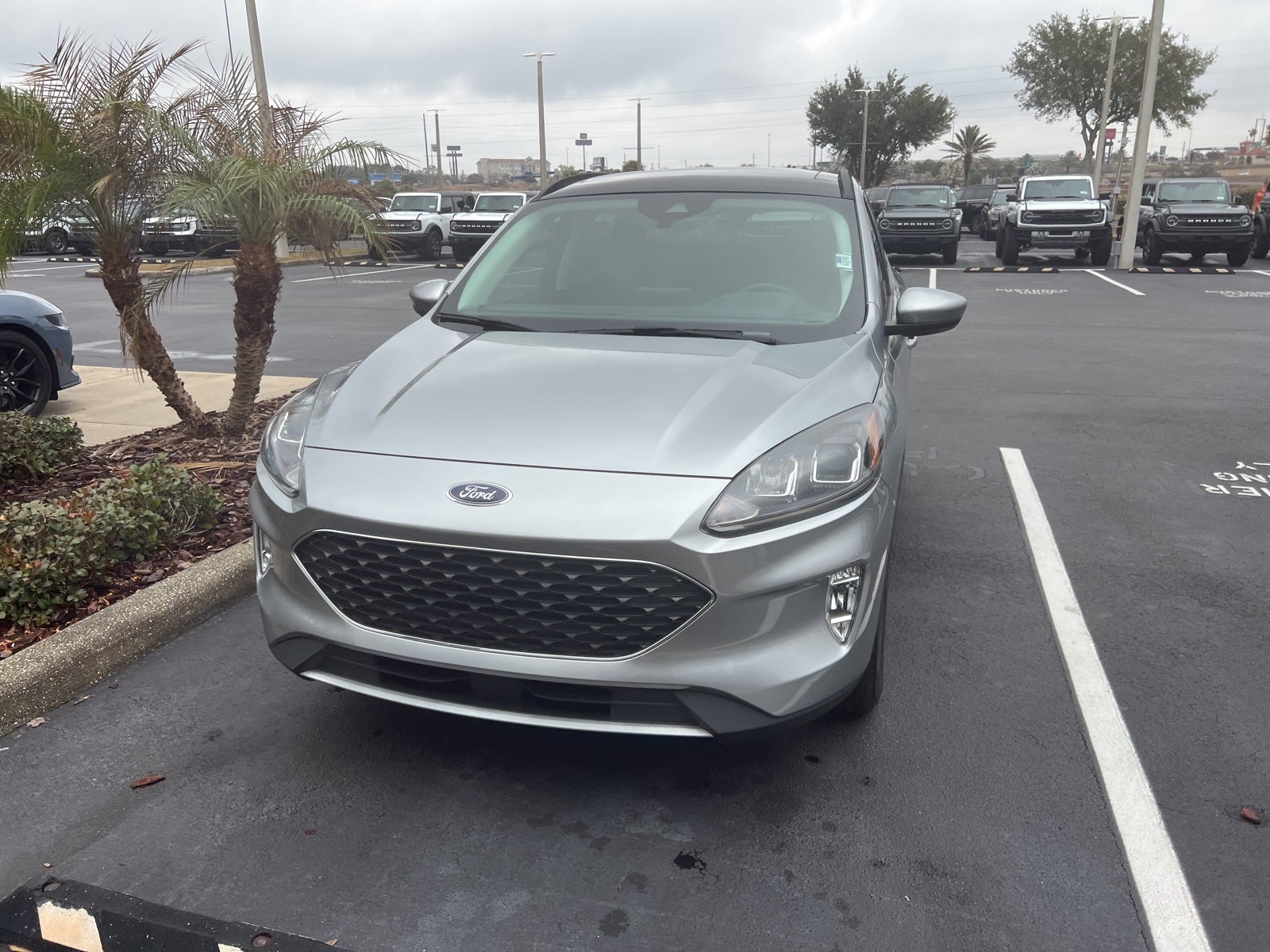 2022 Ford Escape SEL