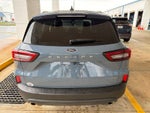 2025 Ford Escape Hybrid ST-Line