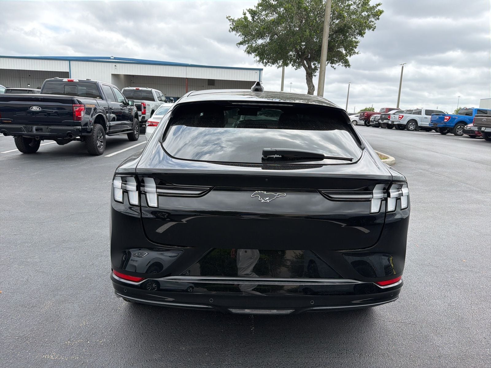 2025 Ford Mustang Mach-E Premium